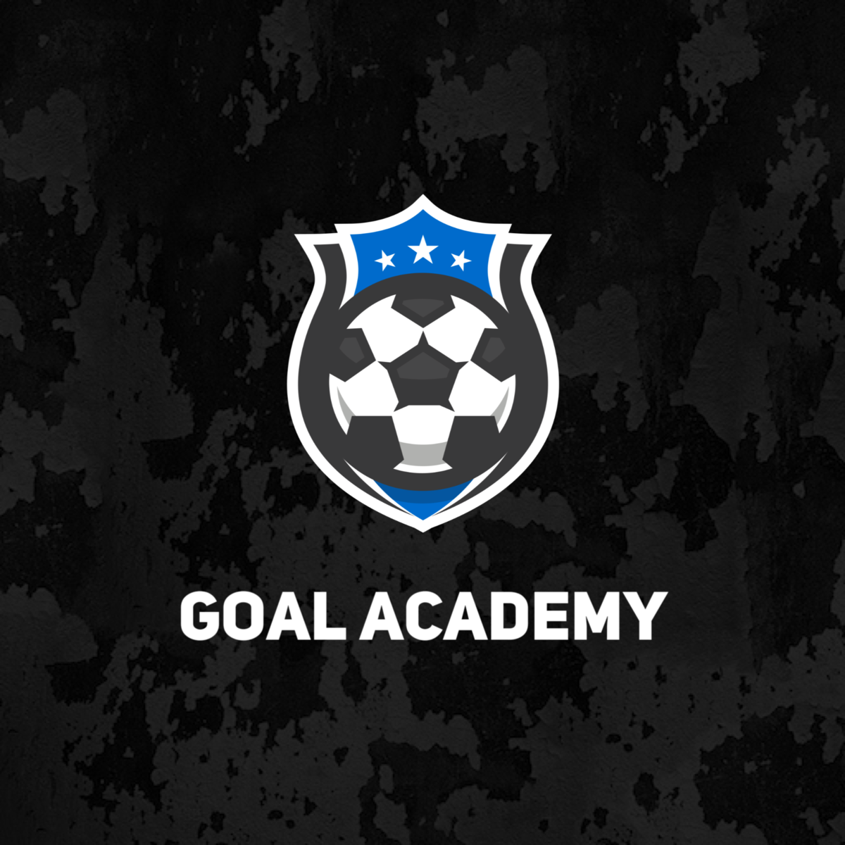 2013s Sponsor - GOAL Academy logo